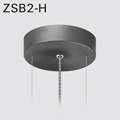 ZSB2-H