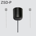 ZSD-P