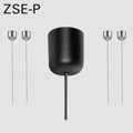 ZSE-P