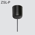 ZSL-P