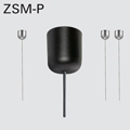 ZSM-P